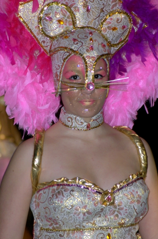 Carnaval 2012 Segur de Calafell
Carnaval 2012 Segur de Calafell. Nikon D50.
Keywords: Carnaval 2012 Segur de Calafell