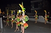CarnavalSegur2012_0183.jpg