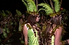 CarnavalSegur2012_1044.jpg