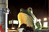 CarnavalSegur2012_1600.jpg