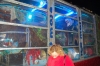 carnaval_vendrell0043.JPG