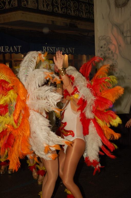 Carnaval 2010 Sitges Rua de l'extermini 
FOTOS SENSE PROCESSAR
Keywords: CARNAVAL SITGES 2010