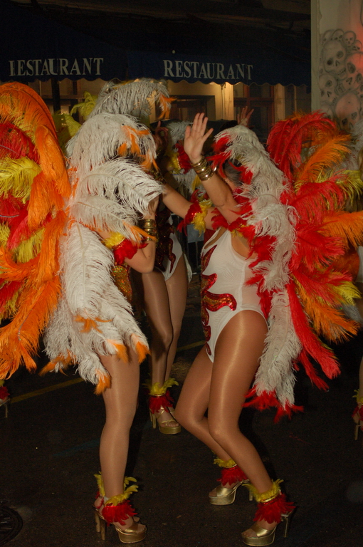 Carnaval 2010 Sitges Rua de l'extermini 
FOTOS SENSE PROCESSAR
Keywords: CARNAVAL SITGES 2010