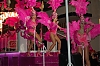 Carnaval_Sitges_2010_0242.JPG