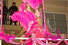 Carnaval_Sitges_2010_0244.JPG