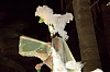 CarnavalSitges2011_1282.jpg