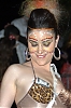 CarnavalSitges2011_1297.jpg