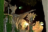 CarnavalSitges2011_1532.jpg