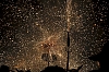 balldefoc2010_0306_web.jpg