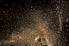 balldefoc2010_0307_web.jpg
