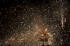balldefoc2010_0308_web.jpg