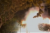 balldefoc2010_0324_web.jpg