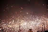 balldefoc2010_0554_web.jpg